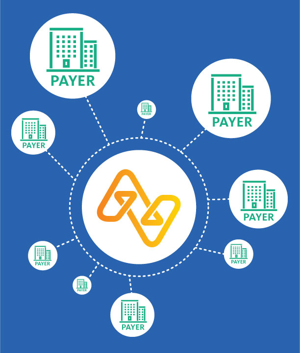Multi-payer portal